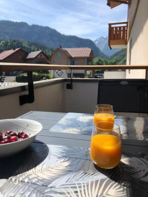 studio 3 *** centre village Saint-Jean-de-Sixt